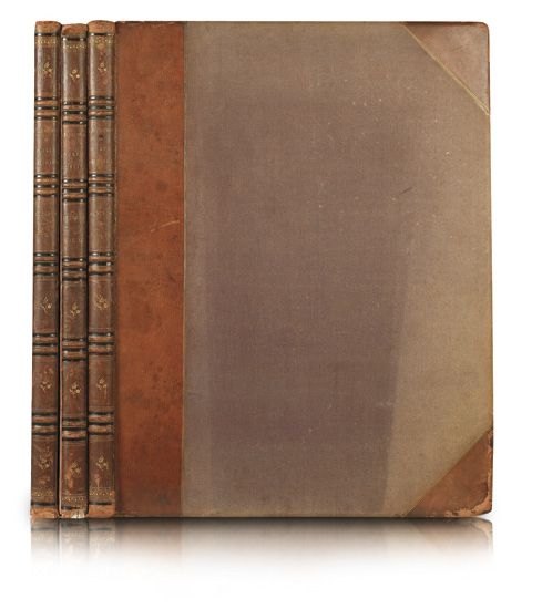 AUDUBON, JOHN JAMES; and BACHMAN, JOHN. The Viviparous Quadrupeds of North America. 3 vols. 1845-48